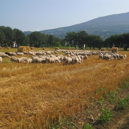 Il Tugurio Agriturismo B&B Rivotorto Ngoại thất bức ảnh
